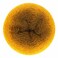 Scheepjes Whirl 1000 m 1094 yd 564 Golden Glowworm CottonAcrylic Gradient Cake 226 g 80 oz
