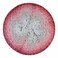 Scheepjes Whirl 1 Cake 1094 yd 1000 m Yarn 753 Slice O Cherry Pie CottonAcrylic Gradient Pink Beige Gray
