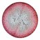 Scheepjes Whirl 1 Cake 1094 yd 1000 m Yarn 753 Slice O Cherry Pie CottonAcrylic Gradient Pink Beige Gray