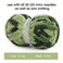 MABOZOO Tie Dye Chunky Yarn for Crocheting Knitting 8 Pack Soft Plush Sage Green Fluffy Jumbo Chenille YarnGiant Thick Fuzzy Bulky29 yds 8 oz Each Skein