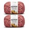 Bernat Blanket Mistical Earthenware 2 Pack of 300g Yarn
