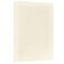 JAM PAPER Vellum Bristol 65lb Cardstock 11 x 17 Ledger Size Coverstock 147 gsm Creme 50 Tabloid SheetsPack