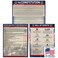 Young N Refined American Founding documents EXTRA LARGE Laminated 3 pack US Constitution with all amendments Declaration of Independence and Bill of Rights 24x36 USA MADE
