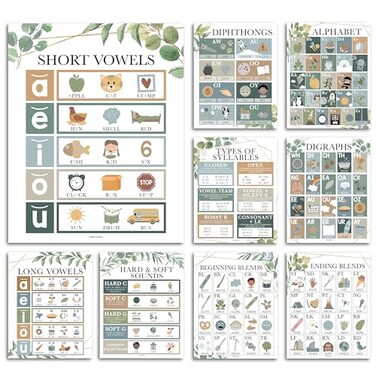 Hadley Designs Phonics Posters for Classroom Must Haves 9 Sound Wall for Kindergarten Elementary Teacher Supplies Syllable Vowels Digraphs Blends Bulletin Board Set Greenery Classrom Decor