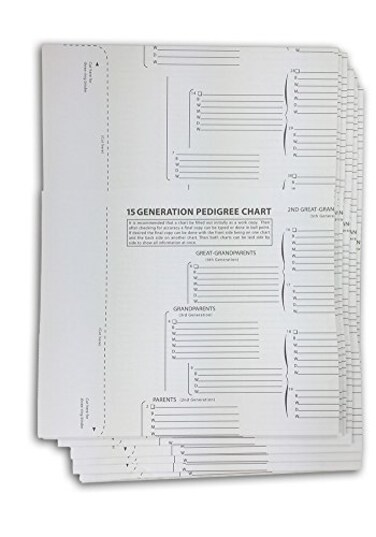 TreeSeek 15 Generation Pedigree Chart 5 Pack Blank Genealogy Forms for Family History and Ancestry Work