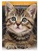 Apomelo Diamond Art Cat Diamond Art Painting Kit for Adults Tabby Cat for Home Wall Decor1216