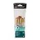 RoyalLangnickel Royal Langnickel Royal Zip N Close Gold Taklon Clear Acrylic Handle Shader 6Piece Brush Set