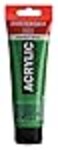 Amsterdam Standard Series Acrylic Tube 120ml Permanent Green Light 618 17096182