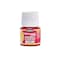 Pebeo Porcelaine 150 WaterBased HighGloss Porcelain Paint 45 ml Bottle Scarlet Red