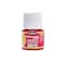 Pebeo Porcelaine 150 WaterBased HighGloss Porcelain Paint 45 ml Bottle Scarlet Red
