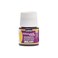 Pebeo 024011 Porcelaine 150 China Paint 45 ml Bottle Garnet Red