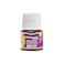 Pebeo 024011 Porcelaine 150 China Paint 45 ml Bottle Garnet Red
