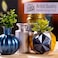 FolkArt K658 Paint Acrylic Metallic 2 Fl Oz Pack of 24 Antique Gold