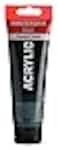 Amsterdam Standard Series Acrylic Tube 120ml Sap Green 623 17096232
