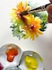 Daniel Smith 285610437 Transparent Watercolor Extra Fine George Politis 6 Color Set 2 02 fl oz 5 ml No 2