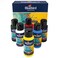 BLUEBIRD Studio Acrylic Paints Primary Colors 6Pack 34 Fl Oz each Basic Acrylic Paint For DIY Crafts Beginner Artists