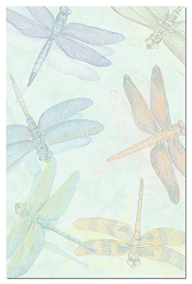 Tree-Free Greetings TreeFree Greetings EcoNotes 12 Count Dragonflies All Occasion Notecard Set with Envelopes 4 x 6 Inches FS66500