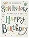 Piccadilly Greetings Regal Publishing Modern Birthday Card Son in Law 8 x 6 inches