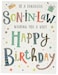 Piccadilly Greetings Regal Publishing Modern Birthday Card Son in Law 8 x 6 inches