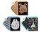 Papyrus Star Wars Birthday Card Assortment Ewok Cupcake and Millennium Falcon 3Count