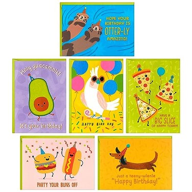 Hallmark Funny Birthday Card Assortment 24 Blank Cards with Envelopes Food Puns Dog Bird Otters