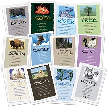 Your True Nature 12 Favorites Greeting Card Set Advice from a Dog Cat Bear Eagle Hummingbird River Trail Coyote Tree Wolf Campfire Bison AMGC12FAV