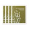 Compendium Positively Green 4Pack of Sympathy Cards When someone you love becomes a memory Four Cards Total One Design with Envelopes