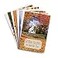 DaySpring Thanksgiving Blessings 8 Fall Design Assortment with Scripture 24 Thanksgiving Boxed Cards Envelopes 70927
