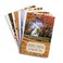 DaySpring Thanksgiving Blessings 8 Fall Design Assortment with Scripture 24 Thanksgiving Boxed Cards Envelopes 70927