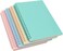 Yansanido Spiral Notebook 4 Pcs A5 Thick Plastic Hardcover 8mm Ruled 4 Color 80 Sheets 160 Pages Journals for Study and Notes Light PinkLight GreenLight Blueivory A5 57 x 83Ruled