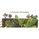 Innovative Designs Harry Potter Tab Journal Notebook Herbology Spiral Bound 144 Lined Pages 8 x 7 inches