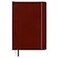 C.R. Gibson CR Gibson Brown Professional Leather Journal Notebook 6 W x 85 L 240 Pages