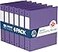 Davis Group Premium Economy 6Pack 3Ring Binders for School or Office RoundRing Binders 15 Inch Purple
