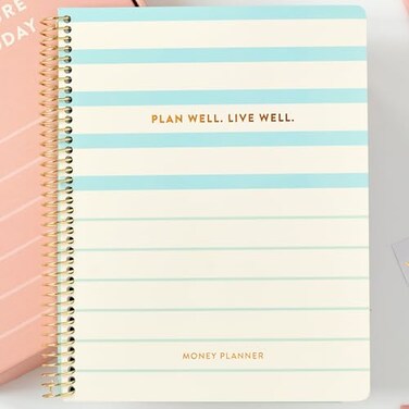 Passionate Penny Pincher PPP Money Planner 10 Cash Budget Envelopes Budget Planner Annual Monthly Financial Worksheet Expense Saving Debt Reduction Pages Stickers LongTerm Financial Goals Spend Ledger