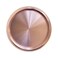 Fromthenon 11PCS Premium 125 Inch Aluminum Discs for Discbound Notebook and Planner Rose Gold