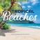 TF Publishing 2026 Tropical Beaches Wall Calendar Large Grids for Appointments and Scheduling Vertical Monthly Wall Calendar 2026 wPremium Gloss Paper for Home and Office Organization 12x12in