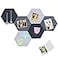 Vuzvuv 6 Pcs Hexagon Bulletin Board with 50 Pushpins Sticky Note Adhesive Cork Board for WallFelt Pin Board for SchoolOffice DecorGray