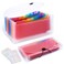 CASAON 2 Pack 13Pockets Expanding Accordion File Folder Mini Organizer Wallet for Storage InvoiceReceiptCardsCouponTickets
