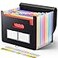 Sooez Accordion File Organizer 13 Pockets Expanding File Folder Portable Monthly Paper Bill Tax Receipt Organizer Letter A4 Size Document Holder with Blank Labels Black