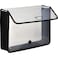 Lion ExpandNFile Poly Expanding Wallet Letter 912 inch x 12 inch 3 inch Gusset Clear 1 Wallet 48160CR