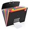 CASAON 13 Pocket Expanding File Folder Accordian File Organizer A4 Letter Size Paper Document Receipt Holder for School Office Supplies Black
