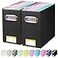 BALEINE File Organizer Box Cardboard File Folder Organizer with Handle for Letter Size Portable Collapsible Hanging Filing Box for Home Office Document Storage 2 Pack Black