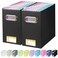 BALEINE File Organizer Box Cardboard File Folder Organizer with Handle for Letter Size Portable Collapsible Hanging Filing Box for Home Office Document Storage 2 Pack Black
