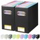 BALEINE File Organizer Box Cardboard File Folder Organizer with Handle for Letter Size Portable Collapsible Hanging Filing Box for Home Office Document Storage 2 Pack Black