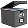 Huolewa File Organizer Box with Lid Collapsible File Folder Organizer for Office Document Storage Filing Box with Plastic Slide for Letter Size Hanging File Folders1 Pack Dark Grey