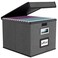Huolewa File Organizer Box with Lid Collapsible File Folder Organizer for Office Document Storage Filing Box with Plastic Slide for Letter Size Hanging File Folders1 Pack Dark Grey