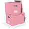Oterri 2 Pack File Storage Organizer Filing Box Portable File Box with Lid Fit for LetterLegal File Folder Storage document organizer Newpink