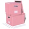 Oterri 2 Pack File Storage Organizer Filing Box Portable File Box with Lid Fit for LetterLegal File Folder Storage document organizer Newpink