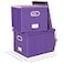 Oterri 2 Pack File Storage Organizer Filing Box Portable File Box with Lid Fit for LetterLegal File Folder Storage Document Organizer Purple
