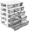 Charmewooden Plastic Drawers 5 Layer Desktop Storage Small Organizer Box Storage Container Case Desktop Organizer with Clear Drawers for Home Office Stationery Jewelry and Cosmetics